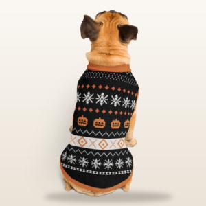 knitted fair isle Halloween dog sweater