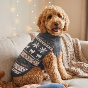 Dog wearing the Icelandic Sheep Dog Christmas Sweater