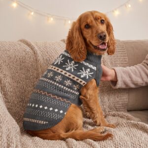 Dog wearing the Icelandic Yoke Dog Christmas Sweater