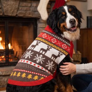 Dog wearing the Moose Shetland Dog Christmas Sweater