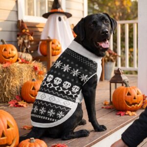 Dog wearing the Skeleton Dog Halloween Sweater